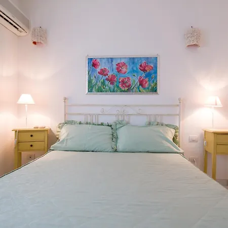 Rododendro Con A/c * Vaccileddi